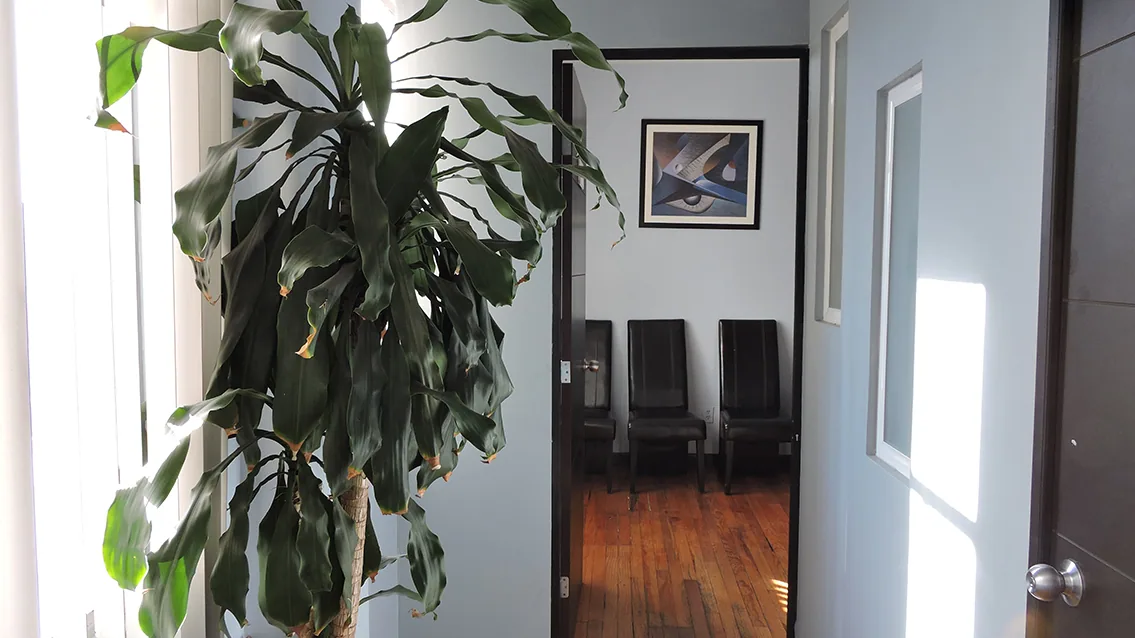 Oficinas CEVAM Buenavista - imagen 7