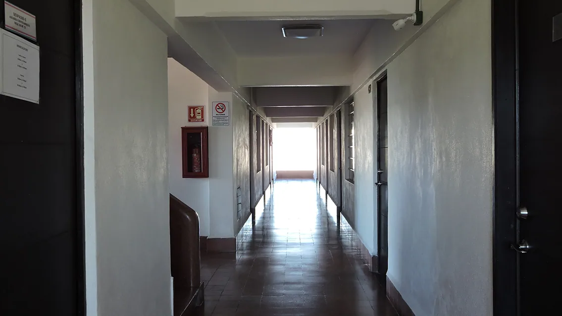 Oficinas CEVAM Buenavista - imagen 8